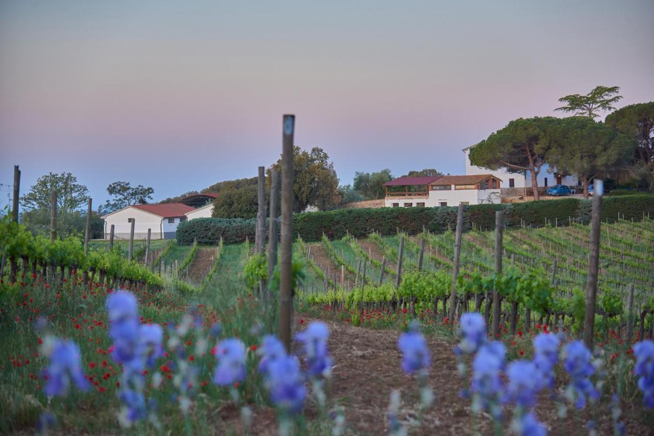 Agriturismo Tesorino Massa Marittima Bagian luar foto
