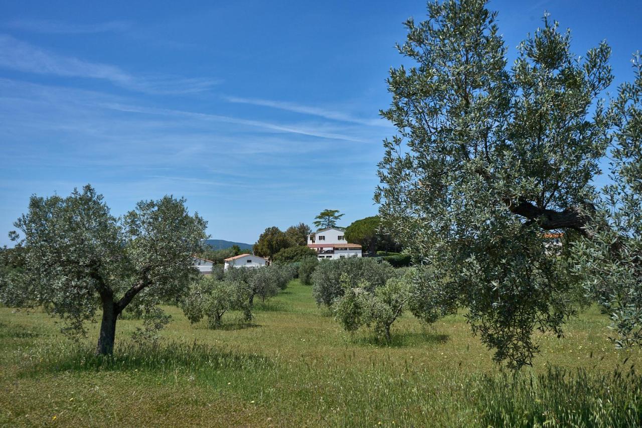 Agriturismo Tesorino Massa Marittima Bagian luar foto
