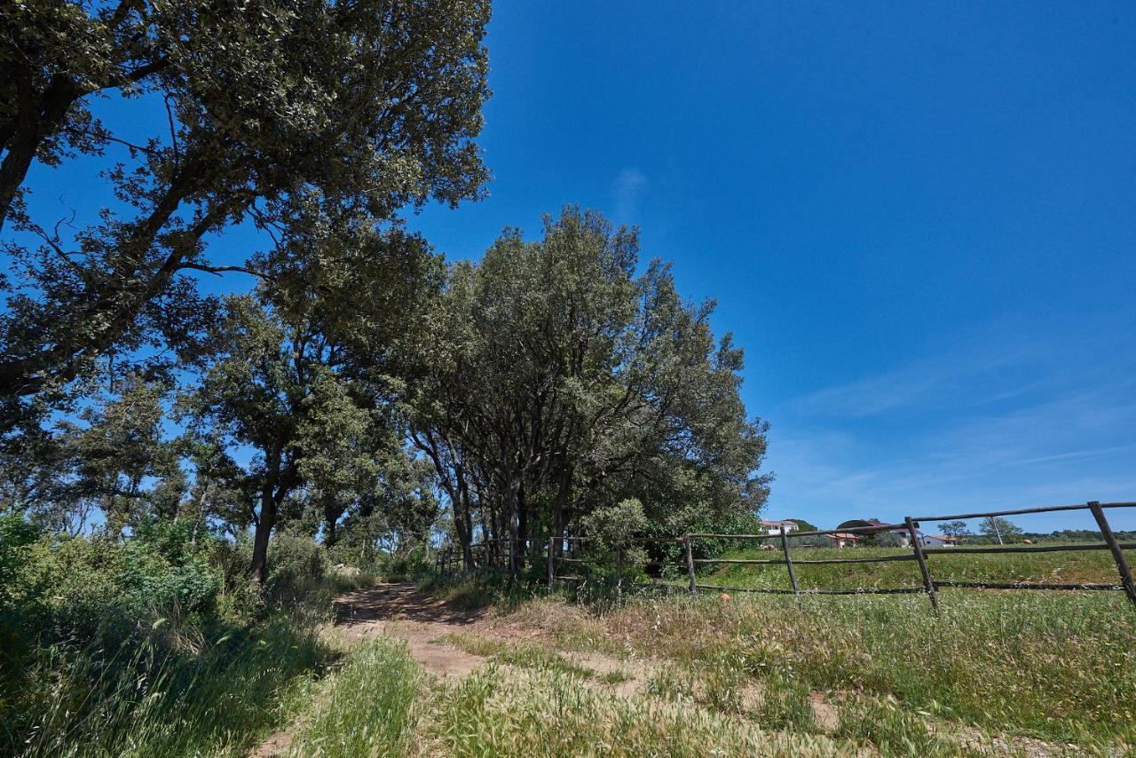 Agriturismo Tesorino Massa Marittima Bagian luar foto