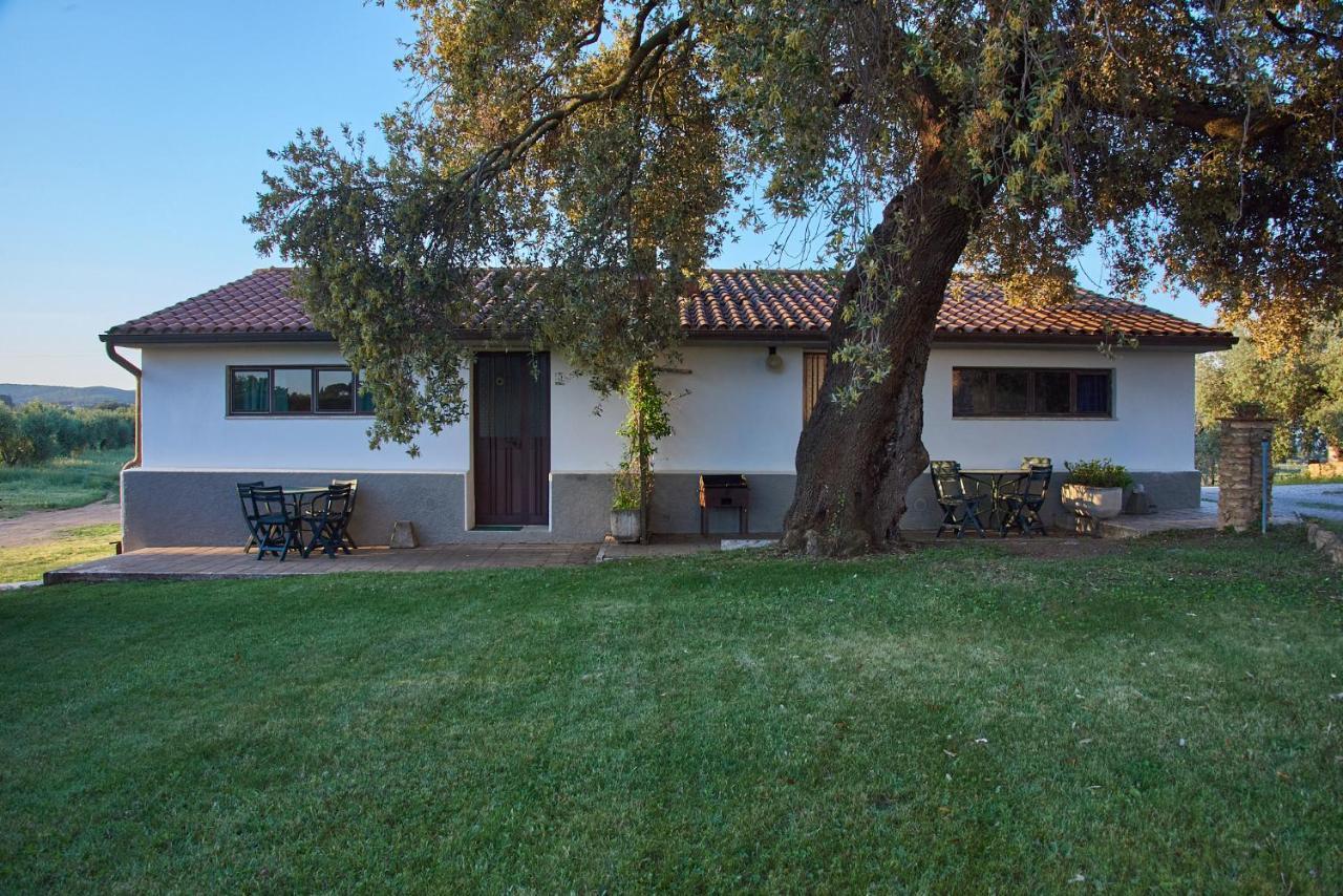 Agriturismo Tesorino Massa Marittima Bagian luar foto